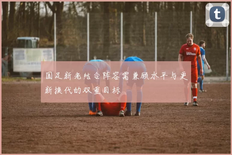 国足新老结合阵容需兼顾水平与更新换代的双重目标